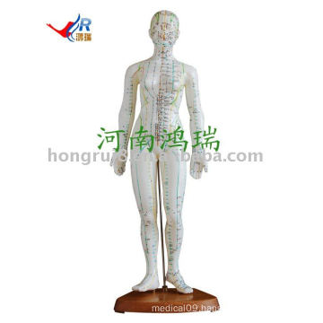 Human acupuncture model 48CM (female)